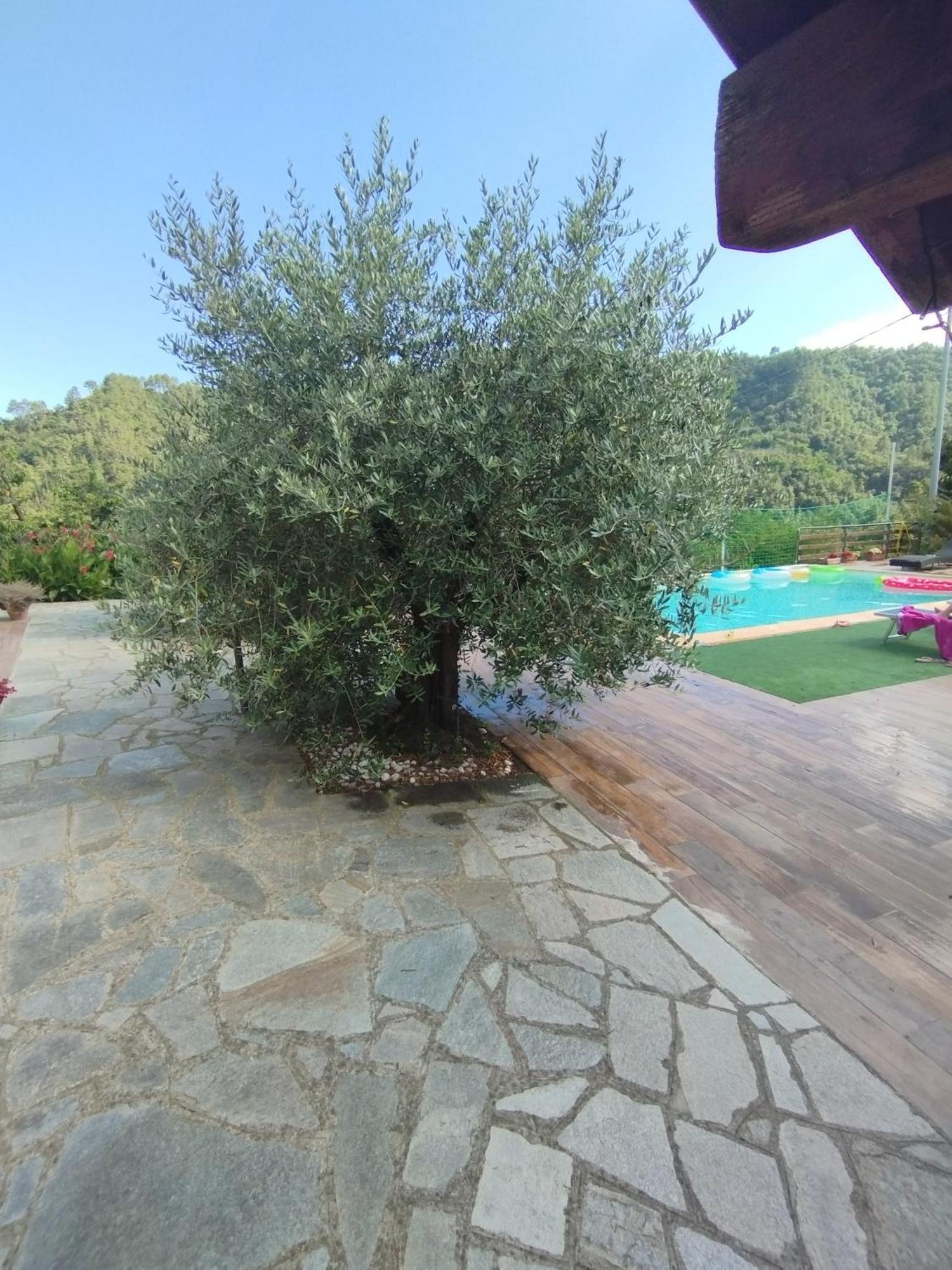 Appartement Casa Jenny *